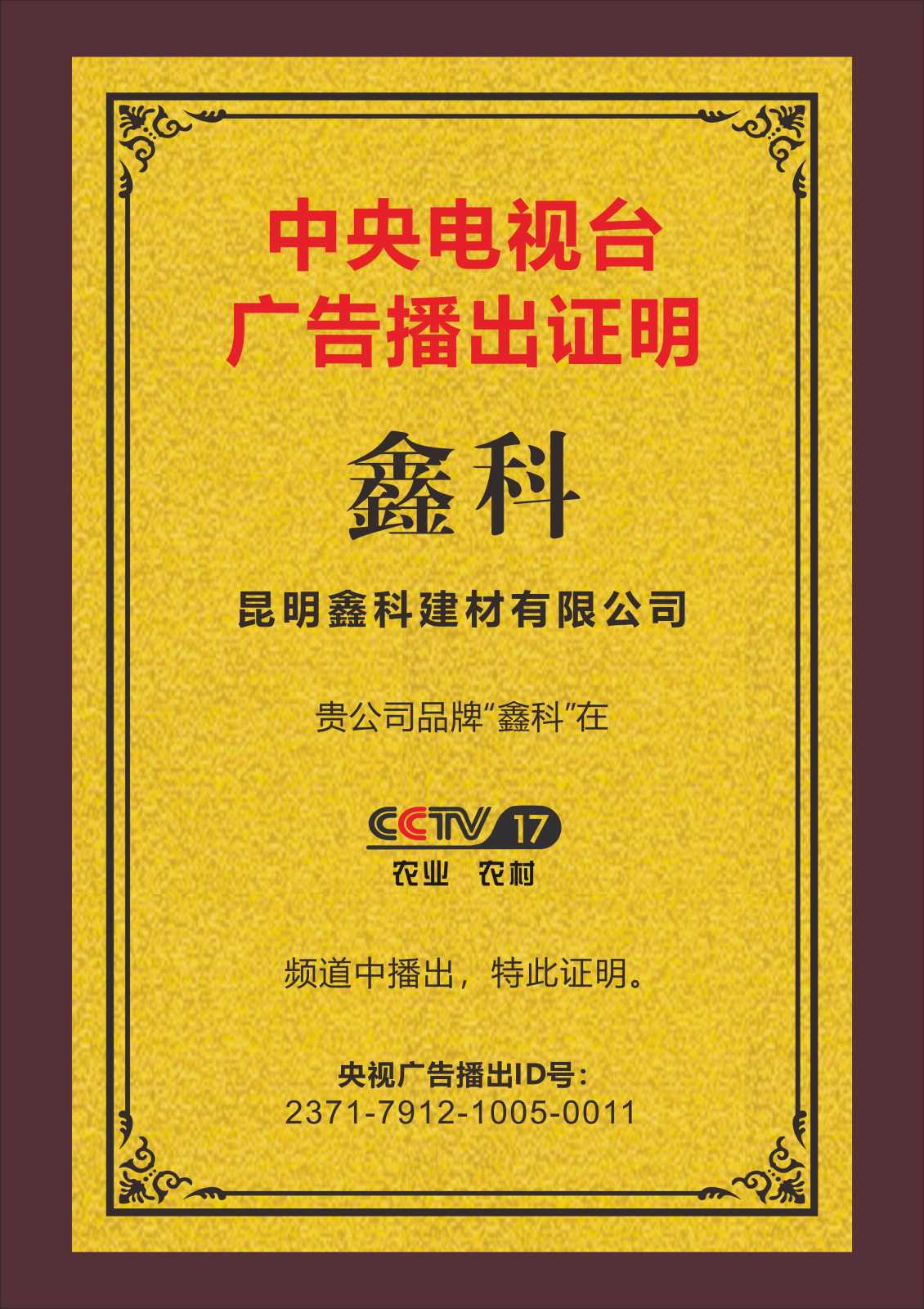 中央电视台广告播出品牌